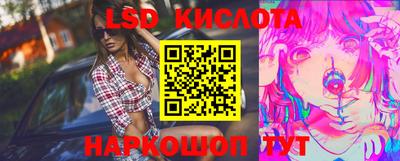 прущие грибы Бузулук