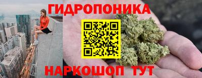 прущие грибы Бузулук
