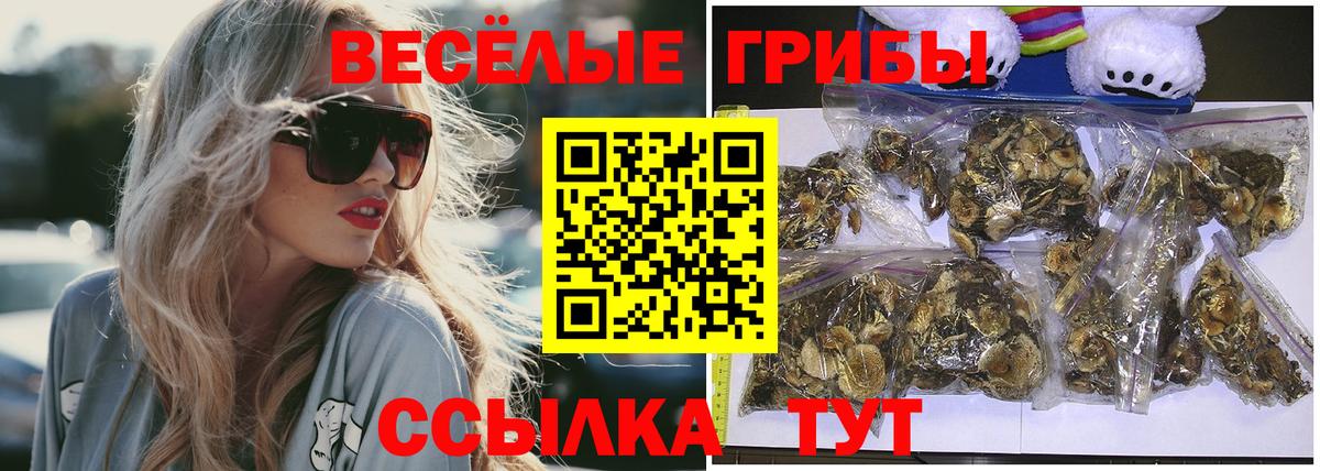 Псилоцибиновые грибы GOLDEN TEACHER  Вход с VPN  Прокопьевск 